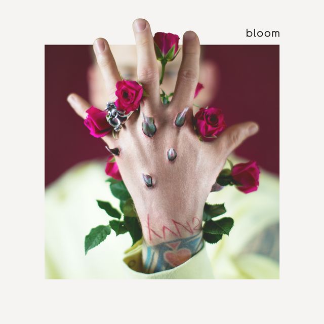 bloom album cover