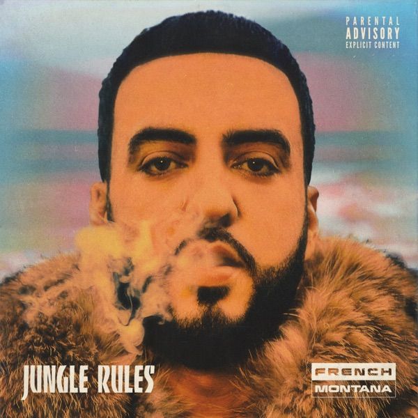 Jungle Rules album cover